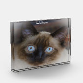 Balinese Kat Fotoblokken (Links)
