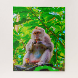 Balinese langstaartmakaken. legpuzzel