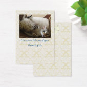 Balise cadeau Brocade Cat Titanic (Bureau)