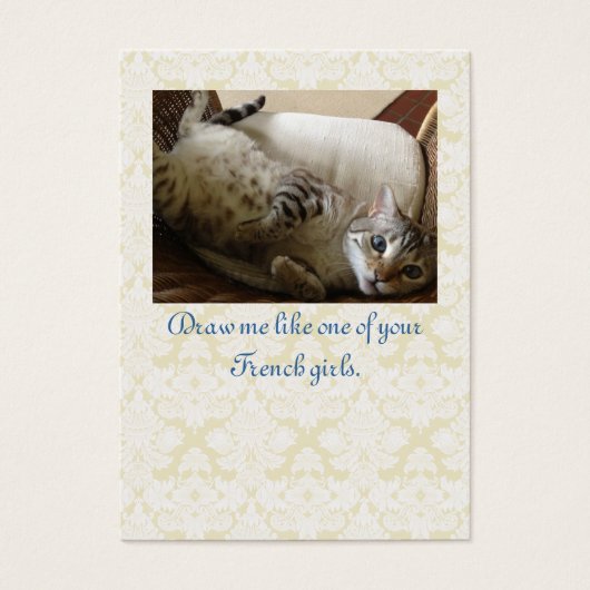 Balise cadeau Brocade Cat Titanic (Devant)