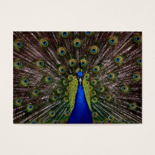 Balise cadeau Merci (Devant)