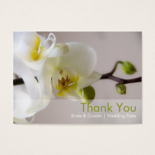 Balise Favoris de mariage ・ Orchidée blanche