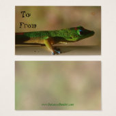 Balises cadeaux Gecko (Devant & derrière)