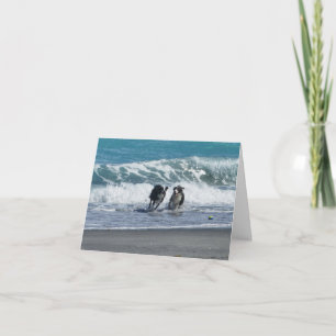 Ball BD 1 hebben Kaart