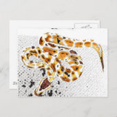 Ball Python Briefkaart (Voorkant / Achterkant)