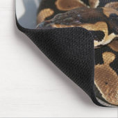 Ball Python geïnteresseerd in muis. Muismat (Hoek)