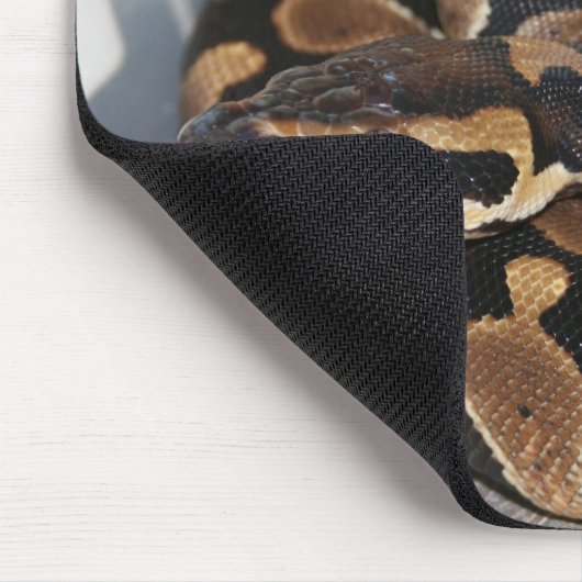 Ball Python geïnteresseerd in muis. Muismat (Hoek)