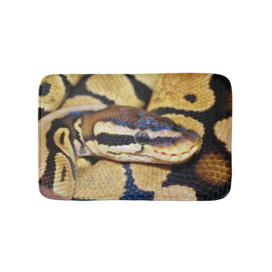 Ball Python, Gele Belly, gekruld in Ball Badmat (Voorkant)