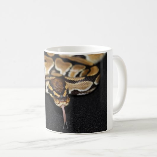 Ball Python Mok (Voorkant rechts)