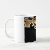Ball Python Mok (Links)