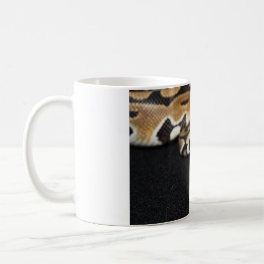 Ball Python Mok (Links)