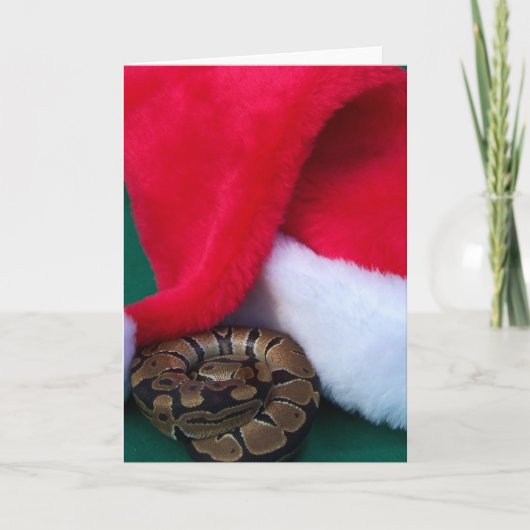 Ball Python naast Santa Hat, slangenkerst Feestdagen Kaart (Voorkant)