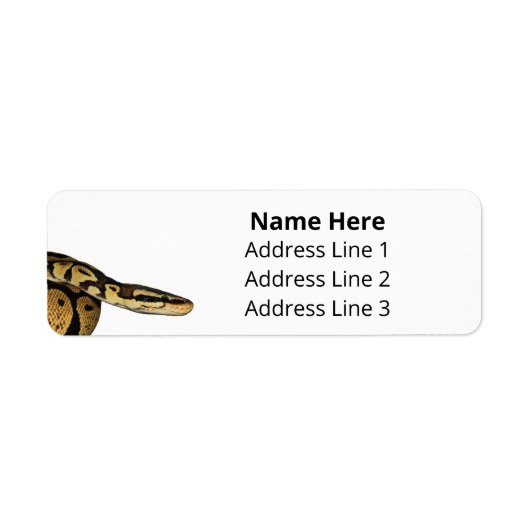 Ball Python Pet Snake Retouradres Etiket (Voorkant)