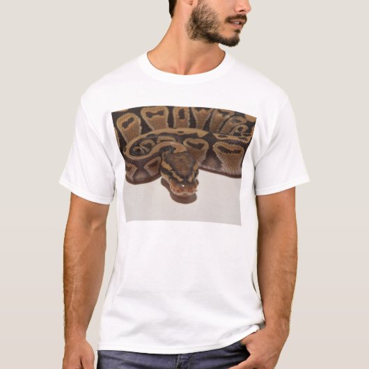Ball Python Shirt (Voorkant)