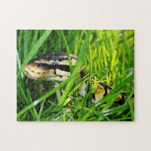 Ball Python Snake in the Grass Legpuzzel