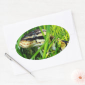 Ball Python Snake in the Grass Ovale Sticker (Envelop)
