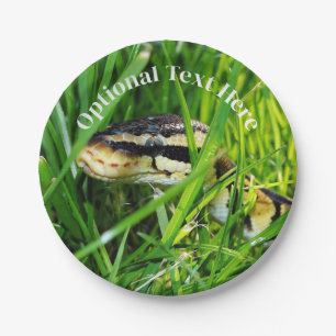 Ball Python Snake in the Grass Papieren Bordje