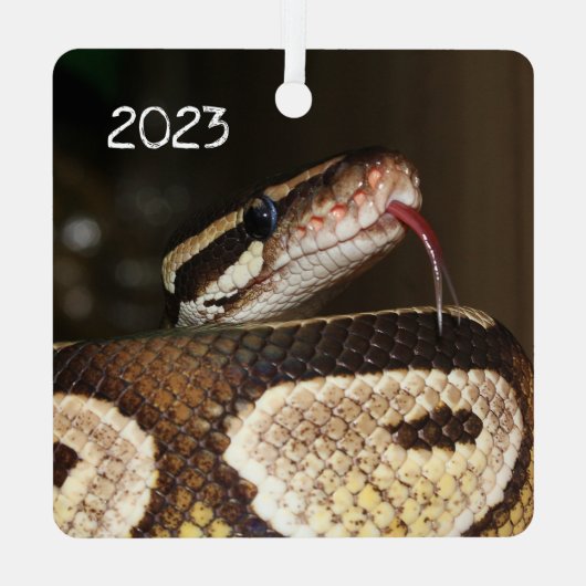 Ball Python Snake Metalen Ornament (Achterkant)