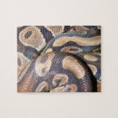 Ball Pythons Legpuzzel (Horizontaal)