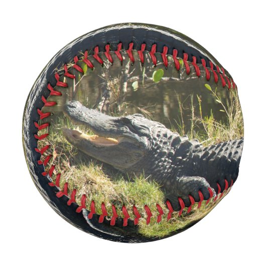 Balle De Baseball Alligator dans le soleil (Devant Gauche)