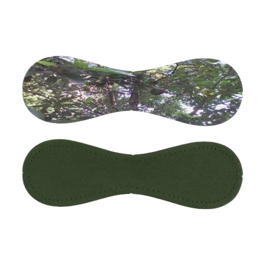 Balle De Baseball Arbre Avocado (Panneaux)