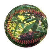 Balle De Baseball Baies noires (Devant Gauche)