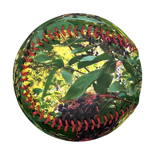 Balle De Baseball Baies noires (Devant Gauche)
