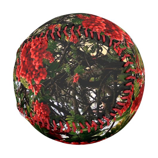 Balle De Baseball Baies rouges (Devant Droite)