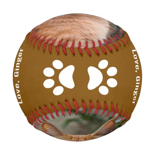 Balle De Baseball Baseball (Devant)