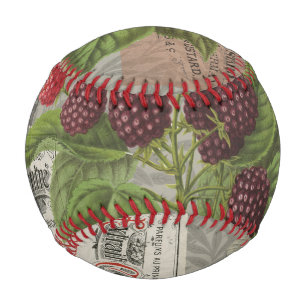 Balle De Baseball Blackberries Floral Garden Flower Papillon Art