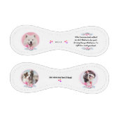 Balle De Baseball Cadeau Commémoratif Pour Animaux De Compagnie (Panneaux)