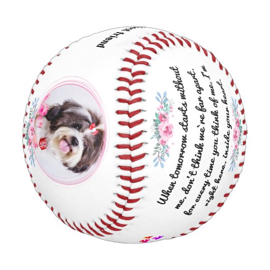 Balle De Baseball Cadeau Commémoratif Pour Animaux De Compagnie (Angle)