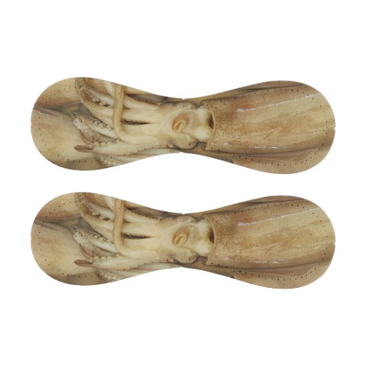 Balle De Baseball Calamari (Panneaux)