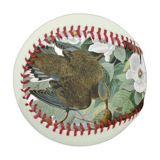 Balle De Baseball Carolina Pigeon Audubon Morning Dove (Devant Gauche)