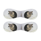 Balle De Baseball Cat (Panneaux)