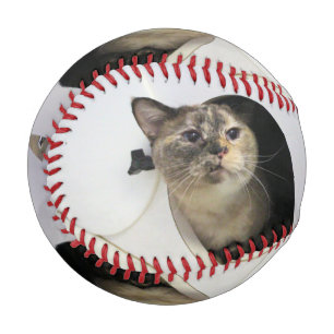 Balle De Baseball Cat