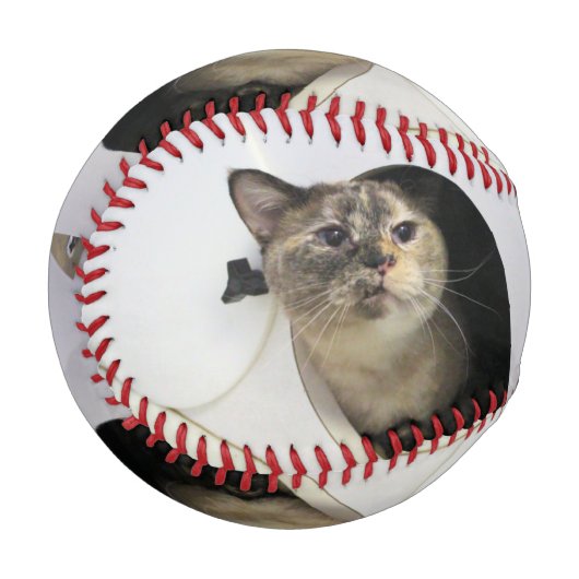 Balle De Baseball Cat (Devant Gauche)