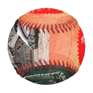Balle De Baseball Catcher et Glove ALEX.B - Baseball 2022