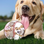 Balle De Baseball Chien Chien Chien Chien Chien Photo Collecte Keeps