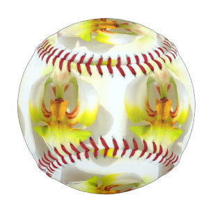 Balle De Baseball closeup orchidées jaune-blanc Thunder_Cove