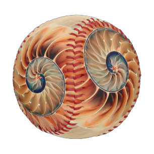 Balle De Baseball Coquille De Vie
