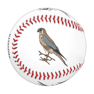 Balle De Baseball dessin animé d'oiseau-kestrel américain