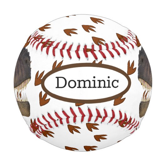 Balle De Baseball Dinosaure (Dos)