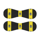 Balle De Baseball Drapeau de Pittsburgh, Pennsylvanie (Panneaux)