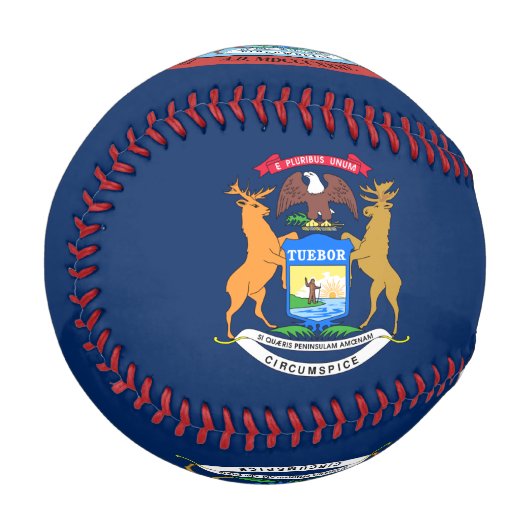 Balle De Baseball Drapeau du Michigan (Devant Gauche)