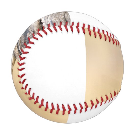 Balle De Baseball Écureuil (Devant Gauche)