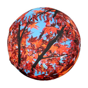 Balle De Baseball Feuilles d'automne