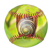 Balle De Baseball fixation calme (Dos)