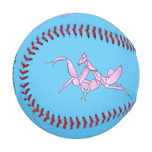 Balle De Baseball Illustration de l'orchidée mante (Devant Gauche)