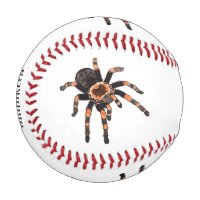 Illustration de Tarantula